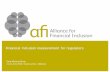 Financial Inclusion measurement for regulators