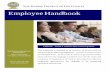 Lee County Employee Handbook - National Council on Teacher ...
