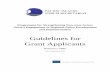 Programme for Strengthening Non-state Actors (NSAs ...
