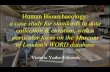 Human Bioarchaeology - University College London