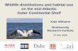 Wildlife distributions and habitat use on the mid-Atlantic ...