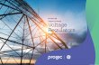 Prolec GE Digital Energy Voltage Regulators