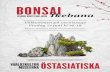 Bonsai - Ikebana