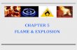 CHAPTER 5 FLAME & EXPLOSION