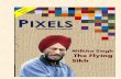 PIXELS - Guru Nanak Dev University