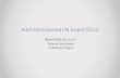 Adult Extracorporeal Life Support (ECLS)