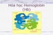 Hóa học Hemoglobin (Hb)