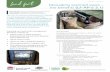 Managing scanned ewes - the benefits LF-AP-S-3