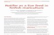 Rotifer as a live in finfish mariculture - CORE