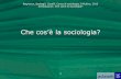 Che cos’è la sociologia?