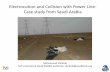 Electrocution and Collation with Power Line- Case study ...