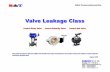 Valve Leakage Class Aug2016 English