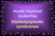Acute myeloid leukemia Myelodysplastic syndromes