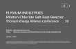 ELYSIUM INDUSTRIES Molten Chloride Salt Fast Reactor