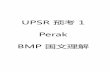 UPSR 预考1 Perak BMP 国文理解