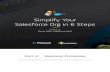Simplify Your Salesforce Org in 6 Steps - Panaya