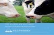 Milk analysis and cow health