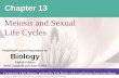 Meiosis and Sexual Life Cycles - Weebly