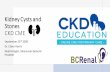 Kidney Cysts and Stones CKD CME - BC Renal
