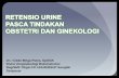 Dr. I Gede Mega Putra, SpOGK Divisi Uroginekologi ...