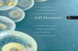 3.1 Food for Thought 46 3.3 The Structure of Cell ...