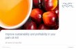 Improve sustainability and profitability in your palm oil mill