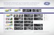 Systematic approach to sonographic evaluation of the ...