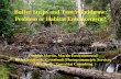 Buffer Strips and Tree Windthrow: Problem or Habitat ...