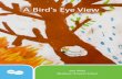 A Bird's Eye View - Enviro-Stories