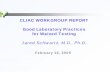 CLIAC WORKGROUP REPORT Good Laboratory Practices for ...