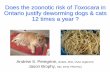 Does the zoonotic risk of Toxocara Toxocara in Ontario ...