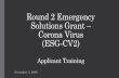 Round 2 Emergency Solutions Grant Corona Virus (ESG-CV2)
