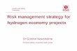 Risk management strategy for hydrogen economy projects