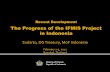 The Progress of the IFMIS Project in Indonesia