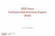 2020 Census Participant Statistical Areas Program (PSAP)