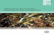 Advances in sea cucumber aquaculture and management - FAO ...