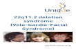 22q11.2 deletion syndrome (Velo Cardio Facial Syndrome)