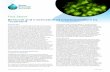Removal and Inactivation of Cryptosporidium by Treatment