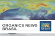 BRASIL ORGANICS NEWS