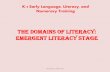 K-3 Early Language, Literacy, and Numeracy Training