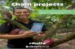 Chain projects - Rikolto