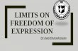 LIMITS ON FREEDOM OF EXPRESSION