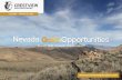March 2021 Investor Presentation - Crestview Exploration