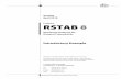 Program RSTAB 8 - dlubal.com
