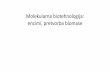 Molekularna biotehnologija: encimi, pretvorba biomase