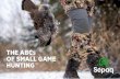 The ABCs of small game hunting