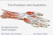 The Pronators and Supinators - Donald Sammut