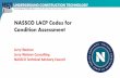 NASSCO LACP Codes for Condition Assessment