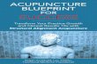 Acupuncture Blueprint for Success - Go Wellness