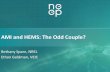 AMI and HEMS: The Odd Couple? - NEEP